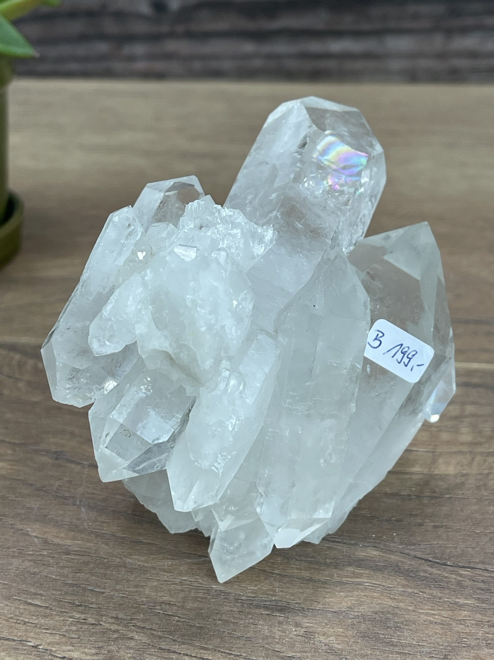 img 2500 scaled_edelsteine